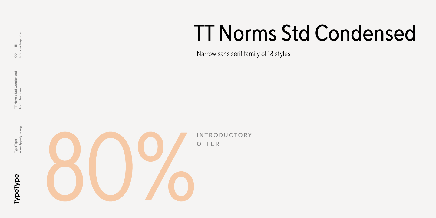 Пример шрифта TT Norms Std Condensed Thin Italic